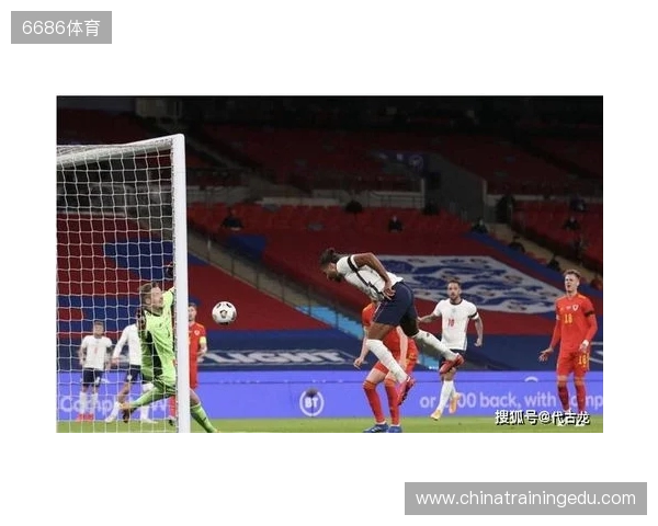 Opta回顾帕洛特过去一周的表现,7脚射门打进5球!