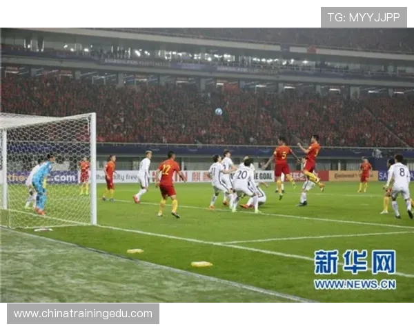 3000片拼图足球世界杯体育论坛