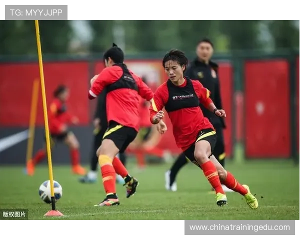 中国各体育联赛工资排名（中国体育联赛商业价值排名）sports