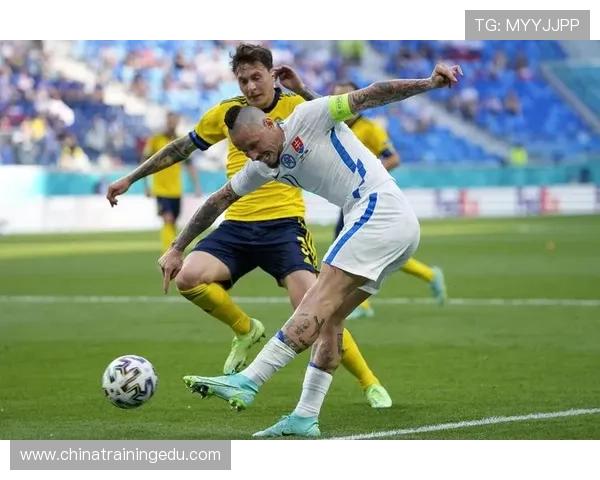 哈斯勒欧洲杯（欧洲杯哈姆西克）sports